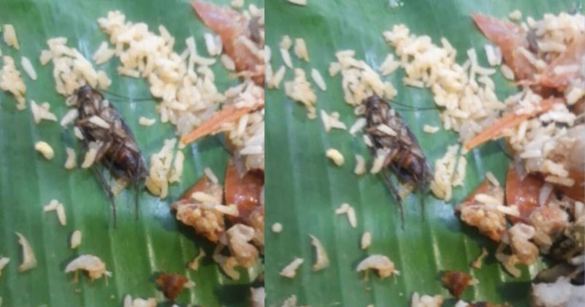 அதிர்ச்சி!! மட்டன் பிரியாணியில் கரப்பான் பூச்சி.. இரண்டு உயிர்களை காவு வாங்கிய பின்பும் தொடரும் அவலம்..