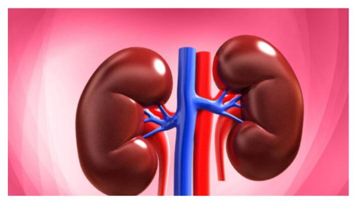 These 4 foods can be dangerous for kidney keep distance from them BDD These 4 foods can be dangerous for kidney keep distance from them BDD