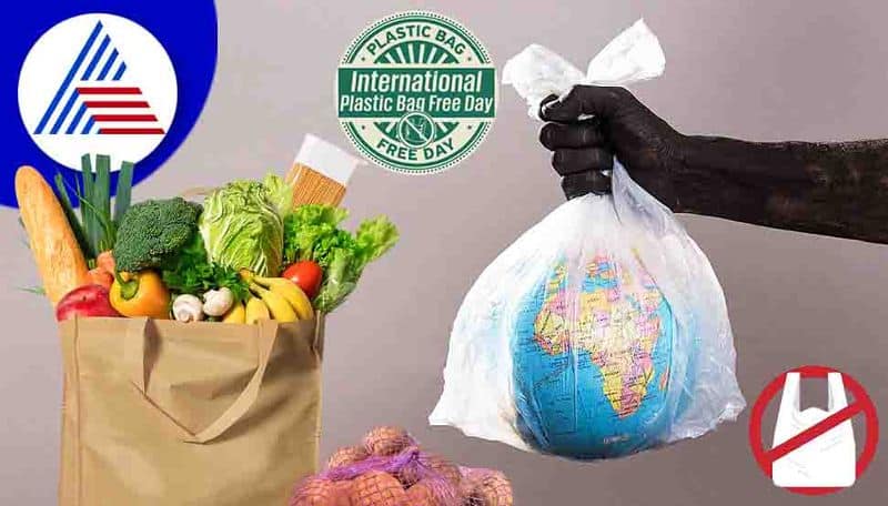 International Plastic Bag Free Day How to say no to plastic bags
