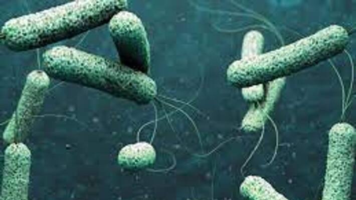 Prohibitory Order 144 imposed due to spread of cholera in Karaikal Prohibitory Order 144 imposed due to spread of cholera in Karaikal