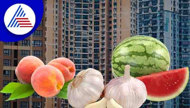 you can buy home make down payment in   Watermelon, garlic, fruits 
