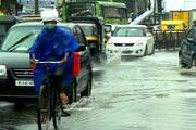 kerala weather forecast report  red alert in alappuzha kottayam idukki pathanamthitta districts 