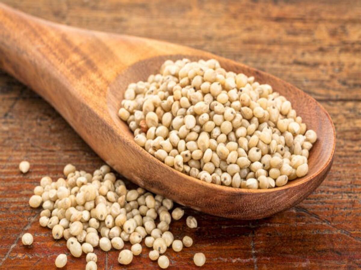 Solam Nutrition: சோளம் ஏன் கட்டாயம் சாப்பிட வேண்டும் தெரியுமா? நம் ...