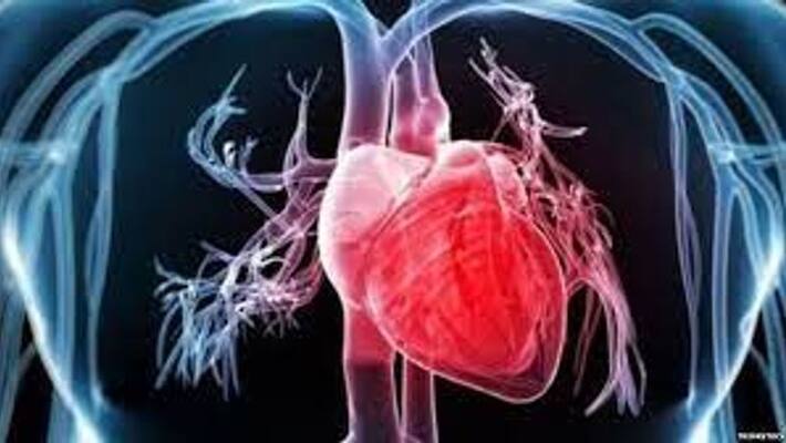 How weak your heart is this home test tells your heart healthy or not BDD How weak your heart is this home test tells your heart healthy or not BDD