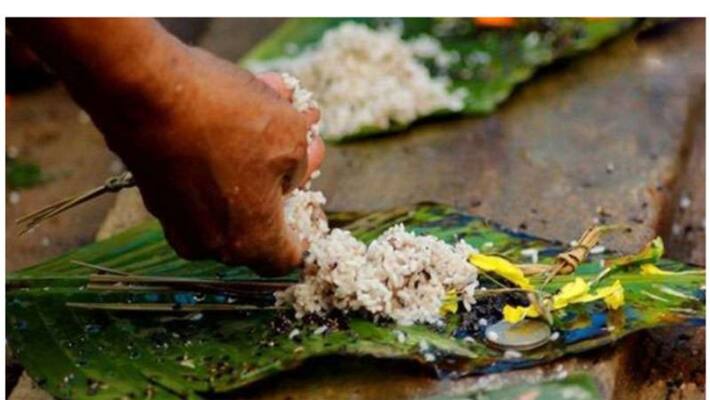 karkidaka vavubali starts in kerala, live updates karkidaka vavubali starts in kerala, live updates
