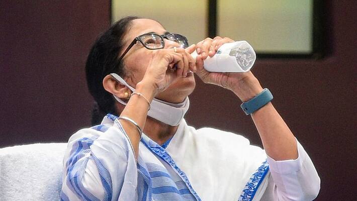 CM Mamata Banerjee in trouble Calcutta High Court directs didi relatives to file affidavits for properties assets case cm CM Mamata Banerjee in trouble Calcutta High Court directs didi relatives to file affidavits for properties assets case cm