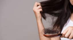 these hair packs can be used to get rid of hair fall and dandruff