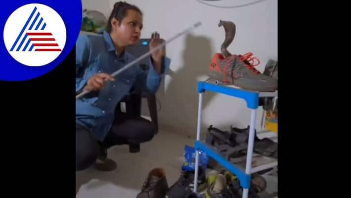 cobra entered into shoes video goes viral akb cobra entered into shoes video goes viral akb