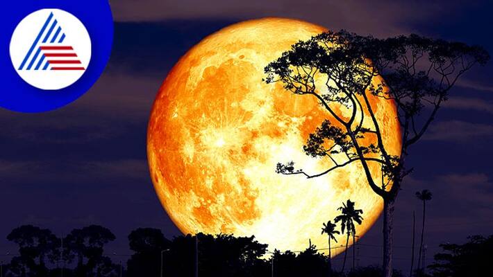 The Last Supermoon Of This Year Will Take Place August 11 How to watc All You Need To Know The Last Supermoon Of This Year Will Take Place August 11 How to watc All You Need To Know