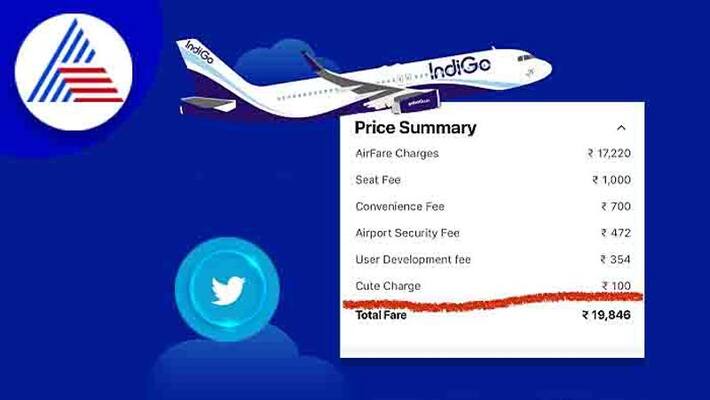 WHAT IS CUTE CHARGE IndiGo airline charges 'Cute fee' from passengers WHAT IS CUTE CHARGE IndiGo airline charges 'Cute fee' from passengers