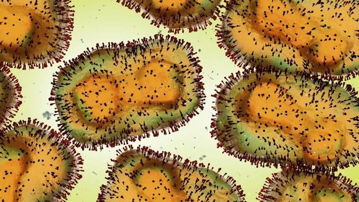 Monkeypox two people are under surveillance in kottayam Monkeypox two people are under surveillance in kottayam