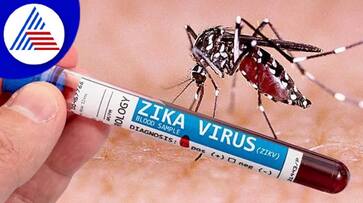 Not a single case of Zika virus has been detected in the state gvd Not a single case of Zika virus has been detected in the state gvd