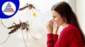 Rainy season has started.. What precautions are needed to avoid diseases? Rainy season has started.. What precautions are needed to avoid diseases?