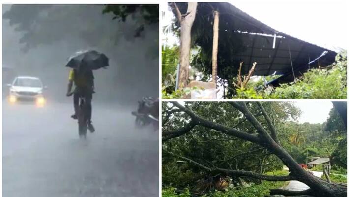 kerala rain updates heavy wind damage in thrissur chavakkad kerala rain updates heavy wind damage in thrissur chavakkad