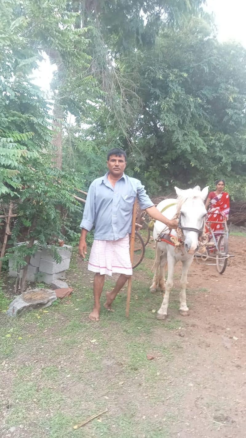 disability farmer Farming with Horse at kundagol rbj