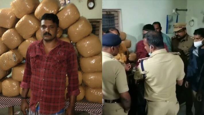210 Kg Ganja seized from Thiruvananthapuram, MDMA caught in Kannur 210 Kg Ganja seized from Thiruvananthapuram, MDMA caught in Kannur