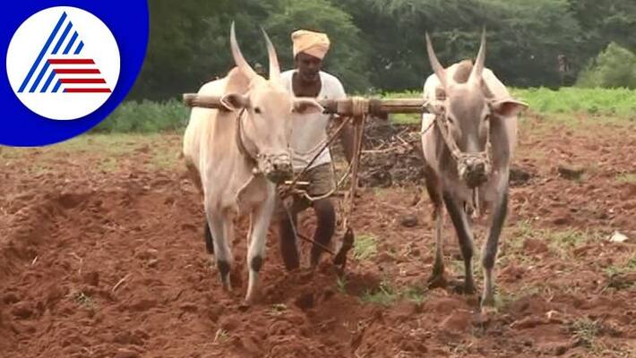 central govt give extra 1.5 rate subsidy for agriculture loan akb central govt give extra 1.5 rate subsidy for agriculture loan akb