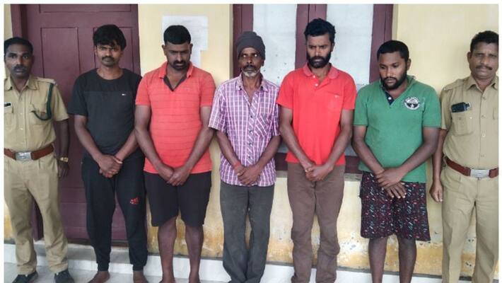 Attempting to cut the flesh of a wounded bison five arrested Attempting to cut the flesh of a wounded bison five arrested