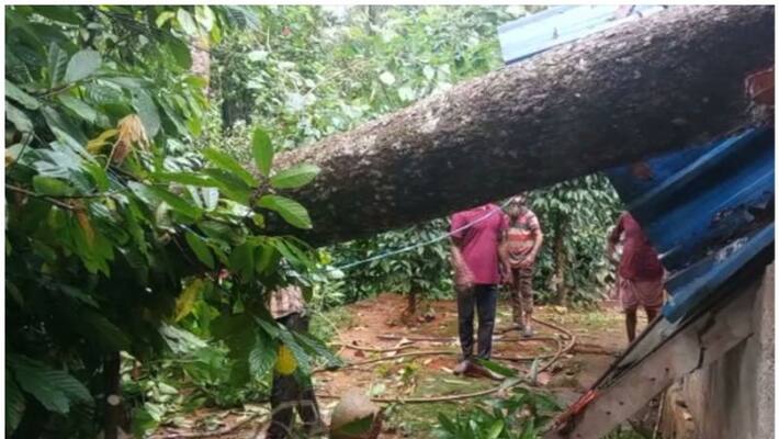 isolated heavy rain in kerala isolated heavy rain in kerala