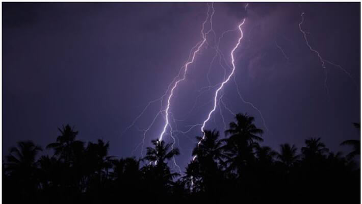 today 04 12 2022 weather report in kerala, 7 districts have more rain chance today 04 12 2022 weather report in kerala, 7 districts have more rain chance