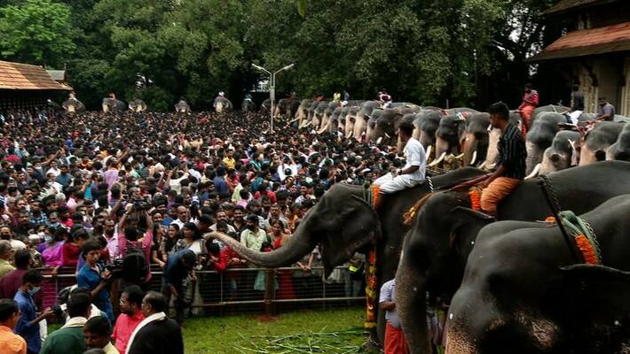 Aanayoottu at Thrissur Vadukumnath temple Aanayoottu at Thrissur Vadukumnath temple
