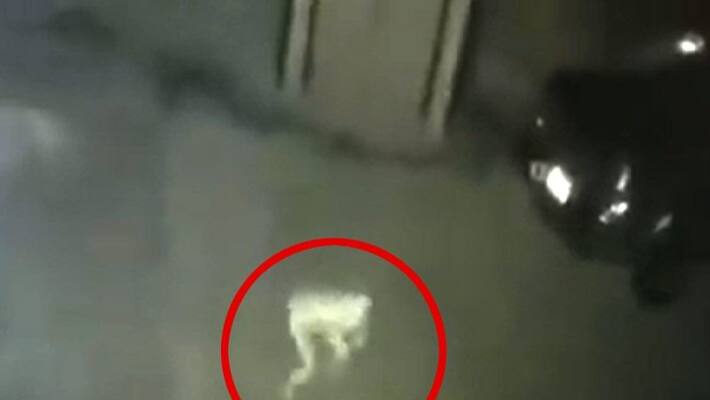 mysterious footage caught on CCTV has sparked controversy among netizens, speculating about ghosts BSM mysterious footage caught on CCTV has sparked controversy among netizens, speculating about ghosts BSM