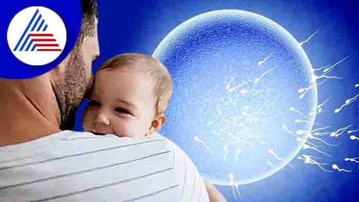 Fertility rate in India drops by 20% in 10 years - study Fertility rate in India drops by 20% in 10 years - study