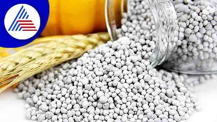 Mysuru Huge amount of illegal fertilizer seized by police snr Mysuru Huge amount of illegal fertilizer seized by police snr