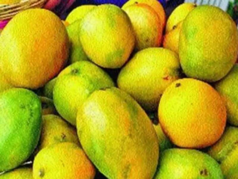 Indias Mango Man, Father Of 300 Varieties