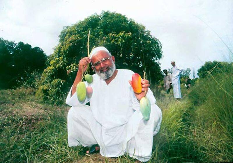 Indias Mango Man, Father Of 300 Varieties