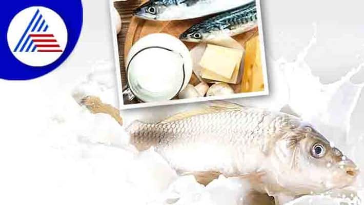 What Is Lactose Intolerance Symptoms What Is Lactose Intolerance Symptoms