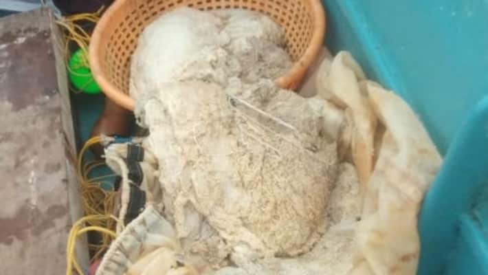 Fishermen return ambergris worth 28 crore Fishermen return ambergris worth 28 crore