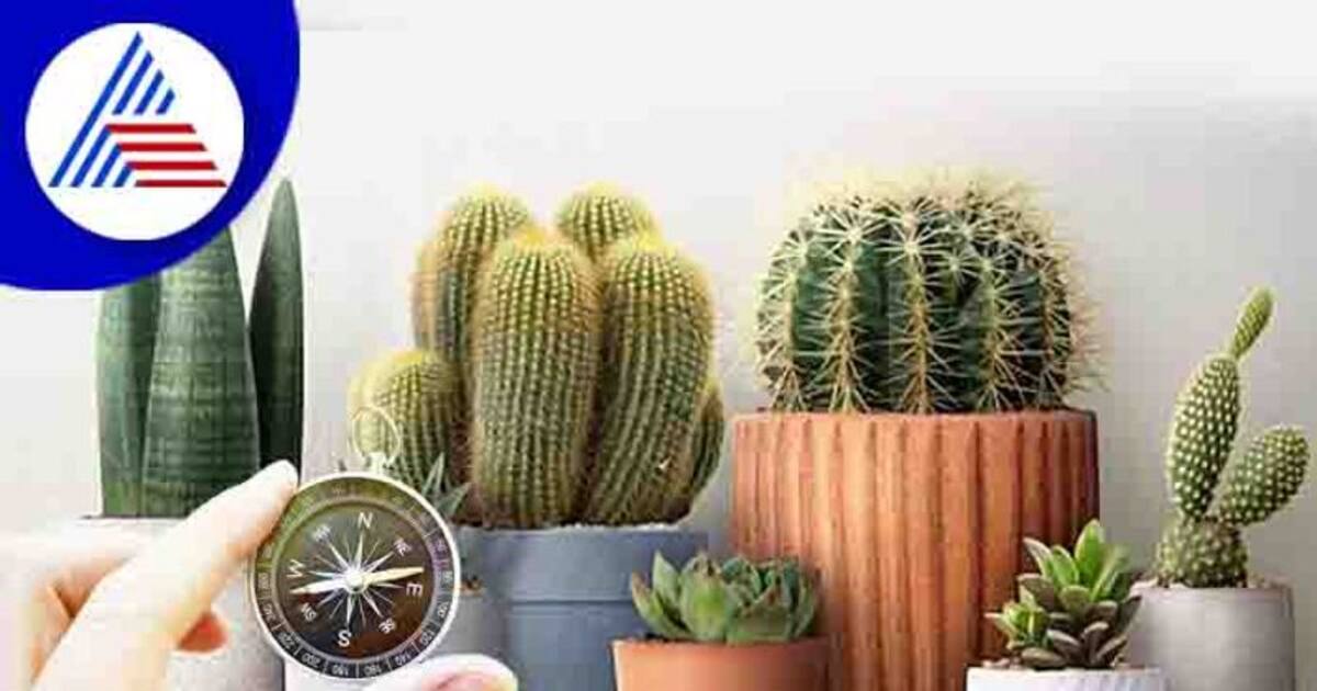 மறந்தும் வீட்டில் இந்த செடிகளை வைக்காதீர்கள்.. மீறினால் வாழ்க்கை நரகமாகும்.. தரித்திரம் தாண்டவம் ஆடும்! 