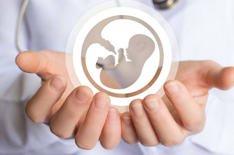 IVF Success Rates: 8 factors determining the success of In vitro fertilization RBA