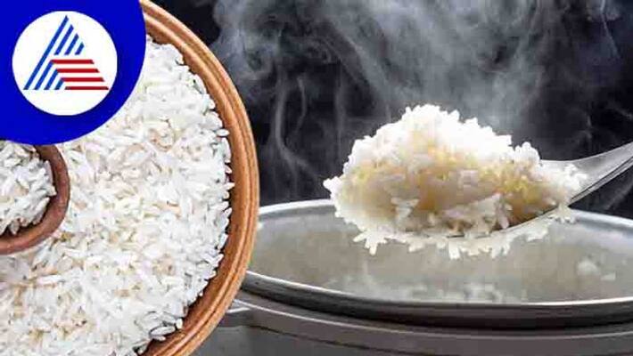 America has 8 times more rice than India America has 8 times more rice than India