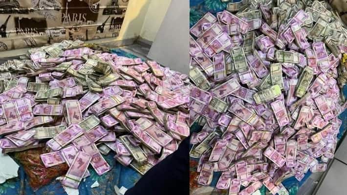 Partha Case Latest updates again crore of rupees have been recovered from a flat owned by Arpita Mukherjee in Belgharia bpsb Partha Case Latest updates again crore of rupees have been recovered from a flat owned by Arpita Mukherjee in Belgharia bpsb