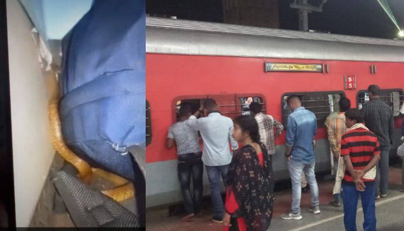 snake creates panic among passengers in the nizamuddin express train