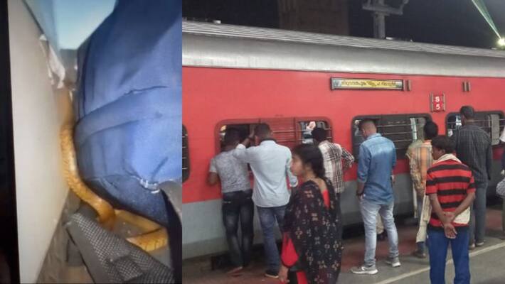 snake creates panic among passengers in the nizamuddin express train snake creates panic among passengers in the nizamuddin express train
