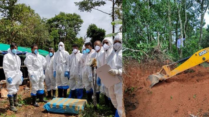 more than 400 pigs infected with African swine flu have been killed in Wayanad more than 400 pigs infected with African swine flu have been killed in Wayanad