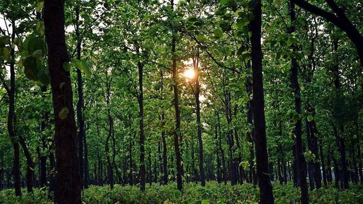 Anand Mahindra Shares Hilarious Video Of Nature Taking "Revenge In Style" Anand Mahindra Shares Hilarious Video Of Nature Taking "Revenge In Style"