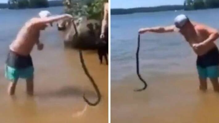 man thrown snake on people man thrown snake on people