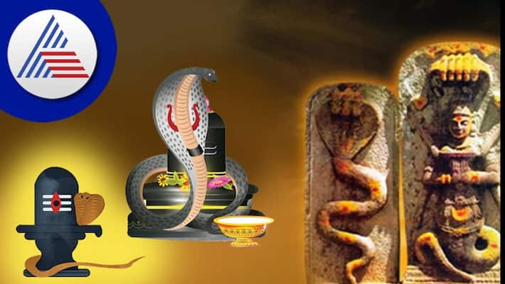 Dive into Nag Panchami: A Festival of Serpents and Spiritual Unity - INVC