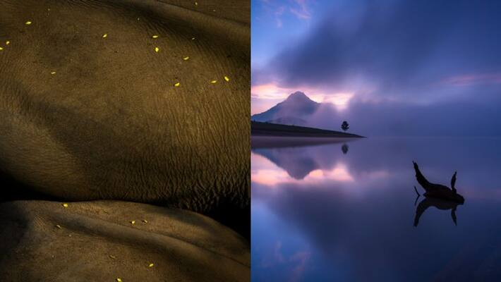DJ Memorial Photography Award Announced DJ Memorial Photography Award Announced