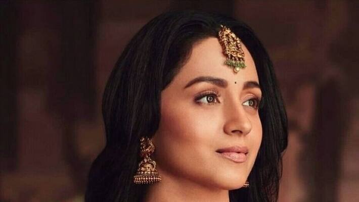 Trisha will enter Politics says Reports Trisha will enter Politics says Reports