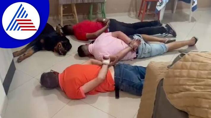 drug gangs guard dog failed at its job surrender police in brazil akb drug gangs guard dog failed at its job surrender police in brazil akb