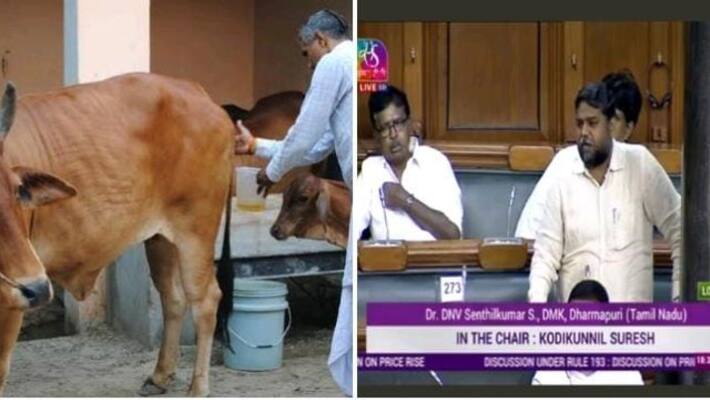 DMK MP said that instead of taxing milk and curd put even 50 percent tax on gomyam DMK MP said that instead of taxing milk and curd put even 50 percent tax on gomyam