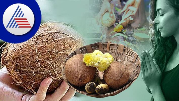 Coconut helps to improve financial conditions know its astrological benefits skr Coconut helps to improve financial conditions know its astrological benefits skr