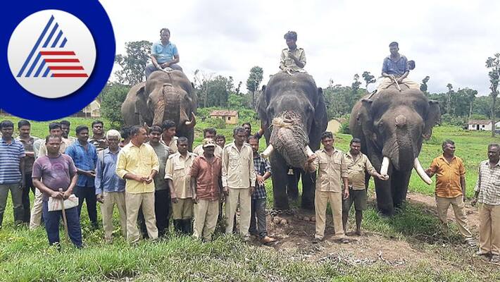 Mysuru Dasar Elephant Mavuta Kavadigar Sangh decision to boycott Dasara rav Mysuru Dasar Elephant Mavuta Kavadigar Sangh decision to boycott Dasara rav