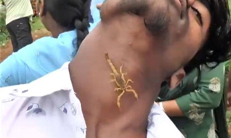 devotees throng village to offer prayers to scorpion god in karnataka