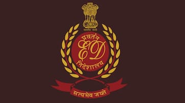 Mahadev betting app more then 30 Bollywood Celebrity under ED Scanner Says report kvn Mahadev betting app more then 30 Bollywood Celebrity under ED Scanner Says report kvn